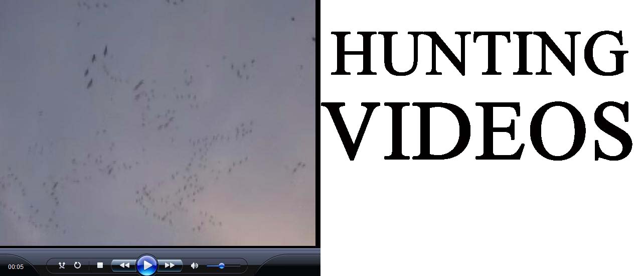 hunting videos